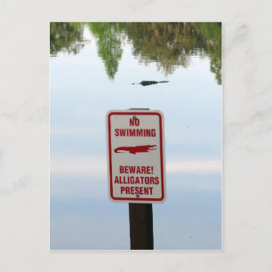 Carte Postale Comité d'accueil pour la Floride
