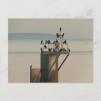 Commande de vérification