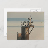 Carte Postale Commande de vérification (Devant / Derrière)