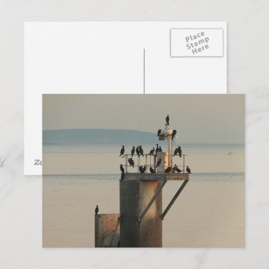 Carte Postale Commande de vérification (Devant / Derrière)