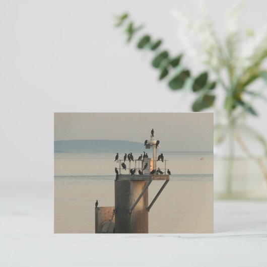 Carte Postale Commande de vérification (Debout devant)