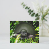 Carte Postale Commando lent (Debout devant)