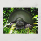 Carte Postale Commando lent (Devant)