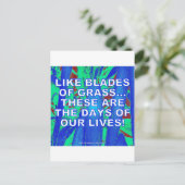 CARTE POSTALE COMME DES LAMES DE GRAS (Debout devant)