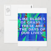 CARTE POSTALE COMME DES LAMES DE GRAS (Devant / Derrière)