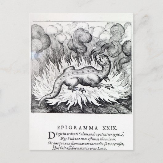 Carte Postale Comme la Salamandre vit dans le feu (Devant)