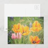 Carte Postale Comme un beau tableau de la vie morte (Devant / Derrière)