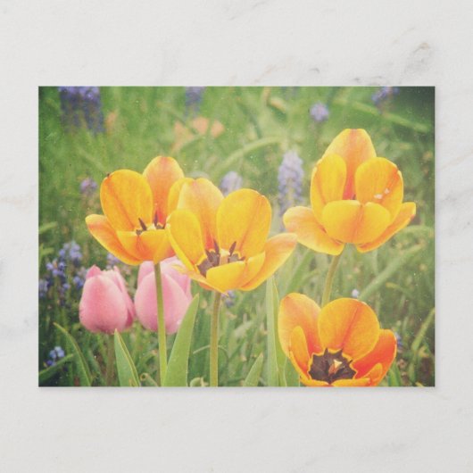 Carte Postale Comme un beau tableau de la vie morte (Devant)