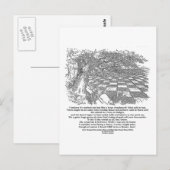 Carte Postale Comme Un Grand Jeu D'Échecs De Chess Wonderland (Devant / Derrière)