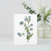 Carte Postale commelina (tuberosa de Commelina) par Redouté (Debout devant)