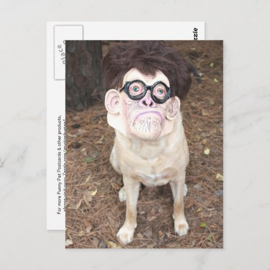 Carte Postale Comment aimes-tu mon costume ? (Devant / Derrière)