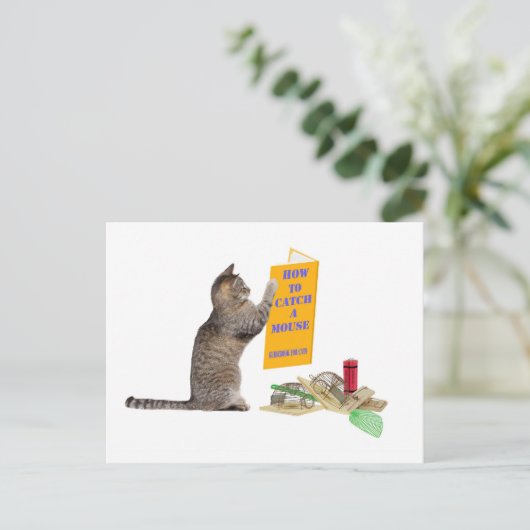 Carte Postale Comment attraper une souris (Debout devant)