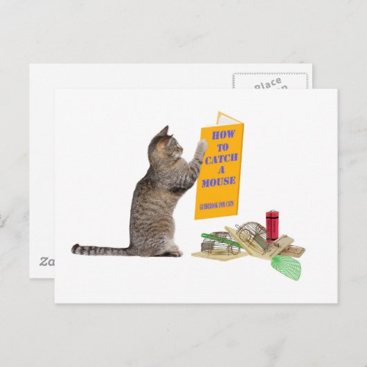 Carte Postale Comment attraper une souris (Devant / Derrière)