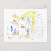 Carte Postale Comment fonctionne l'oeil (Devant)