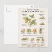 Carte Postale Comment identifier le sumac vénéneux – Botanique É (Devant / Derrière)