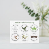 Carte Postale Comment identifier l'ivoire de poison (Debout devant)