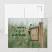 Carte Postale Comment les choses pensent-elles de vous Oiseaux ? (Devant / Derrière)