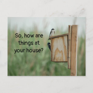Carte Postale Comment les choses pensent-elles de vous Oiseaux ?