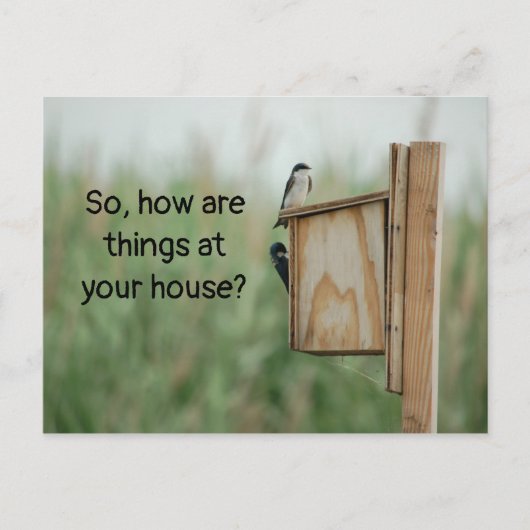 Carte Postale Comment les choses pensent-elles de vous Oiseaux ? (Devant)