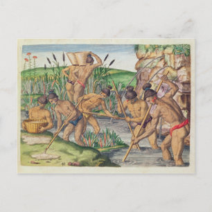 Carte Postale Comment les Indiens recueillent l'or des cours d'e