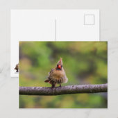 Carte Postale Comment va ta journée ? (Devant / Derrière)