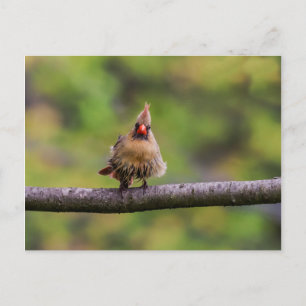 Carte Postale Comment va ta journée ?