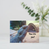 Carte Postale Comment vas-tu ? (Debout devant)