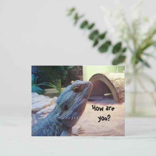 Carte Postale Comment vas-tu ? (Debout devant)