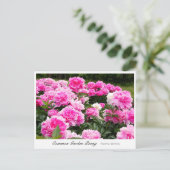 Carte Postale Common Garden Peony (Debout devant)