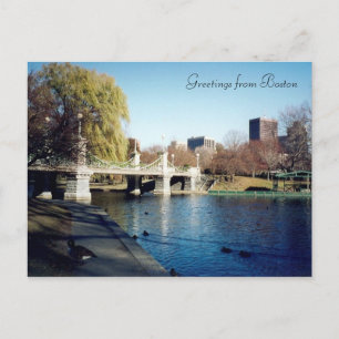 Carte Postale commun de boston