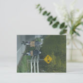 Carte Postale Communauté Amish (Debout devant)