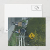 Carte Postale Communauté Amish (Devant / Derrière)