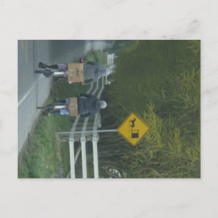 Carte Postale Communauté Amish