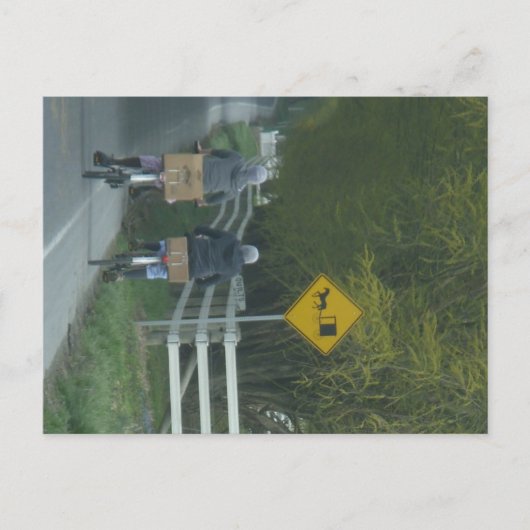Carte Postale Communauté Amish (Devant)