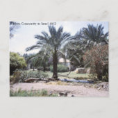 Carte Postale Communauté des kibboutz en Israël (Devant)