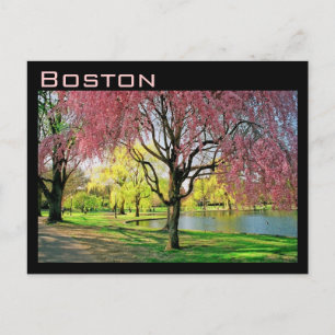Carte postale commune de Boston