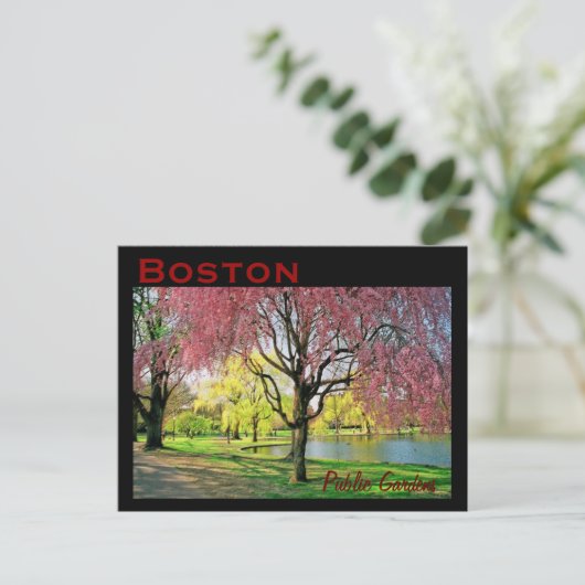 Carte postale commune de Boston - Customisée (Debout devant)