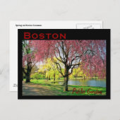 Carte postale commune de Boston - Customisée (Devant / Derrière)