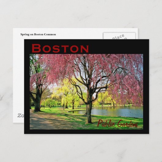 Carte postale commune de Boston - Customisée (Devant / Derrière)