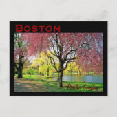 Carte postale commune de Boston - Customisée (Devant)