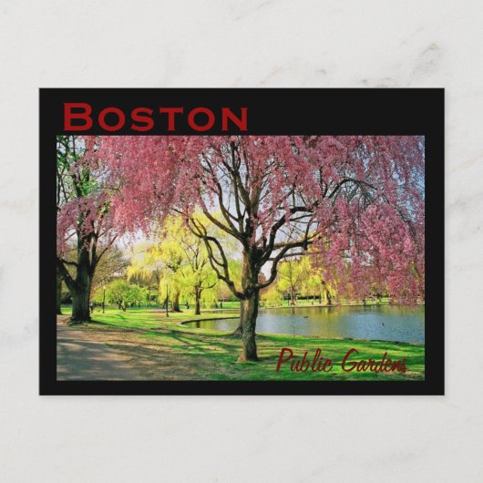 Carte postale commune de Boston - Customisée (Devant)