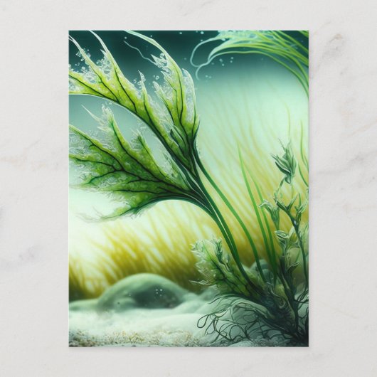 Carte Postale Commune d'Underwater (Devant)
