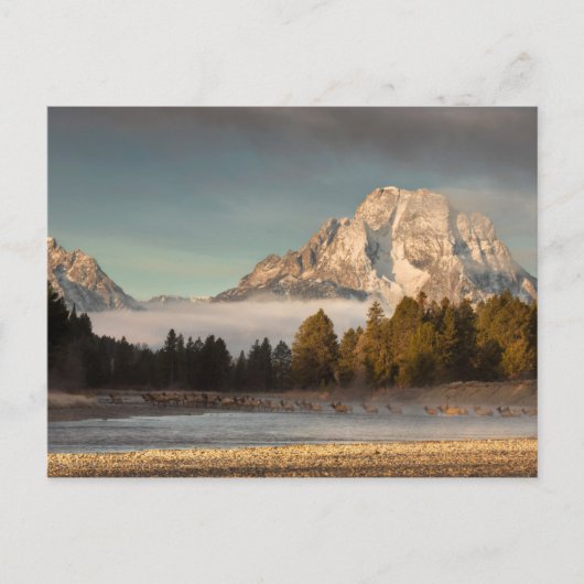 Carte Postale Commute du matin (Devant)