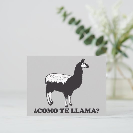 Carte Postale Como Te Llama (Debout devant)
