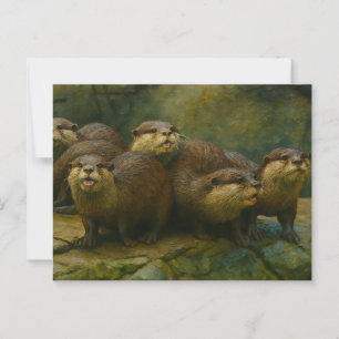 Carte Postale Compagnie curieuse - Famille Otter sur les rochers