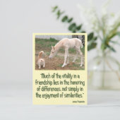 Carte Postale Compagnons Cremello Amitié (Debout devant)