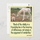 Carte Postale Compagnons Cremello Amitié (Devant / Derrière)