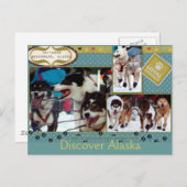 Carte Postale Compagnons loyaux d'Iditarod (Devant / Derrière)