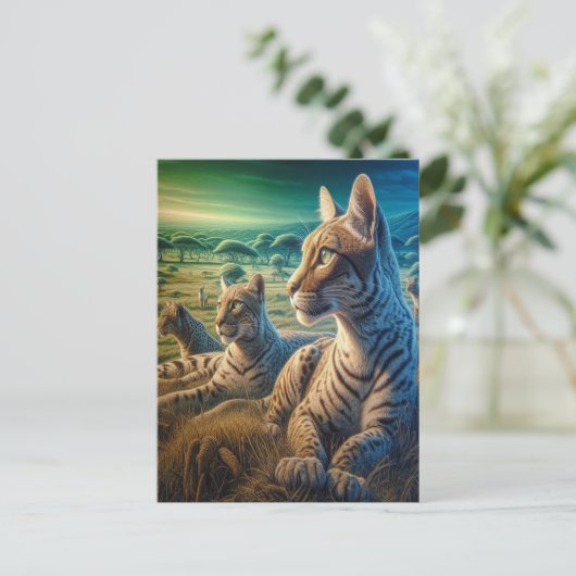 Carte Postale Compagnons Moustachus dans la Prairie (Debout devant)