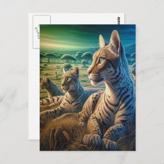 Carte Postale Compagnons Moustachus dans la Prairie (Devant / Derrière)